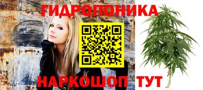 прущая мука Свободный
