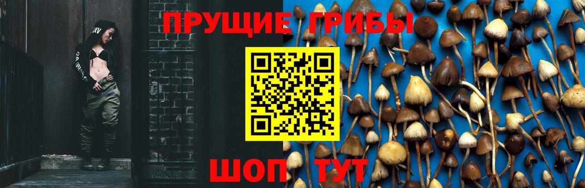 Саров  Псилоцибиновые грибы GOLDEN TEACHER  Вход с VPN  Псилоцибиновые грибы мицелий 